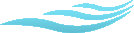 island_cart_rentals_and_sales_2-6-26_6pm002005.jpg